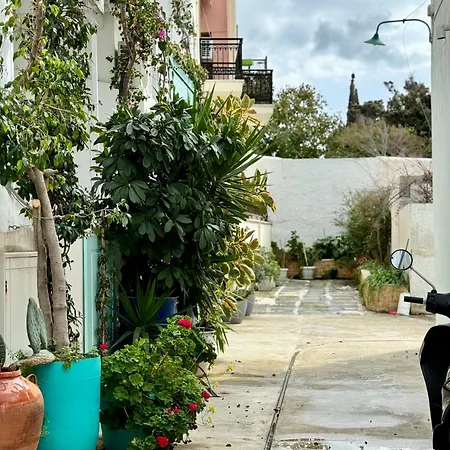 Cycladic Cove In Naxos Town 公寓